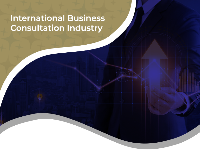 International Business Consultation Industry