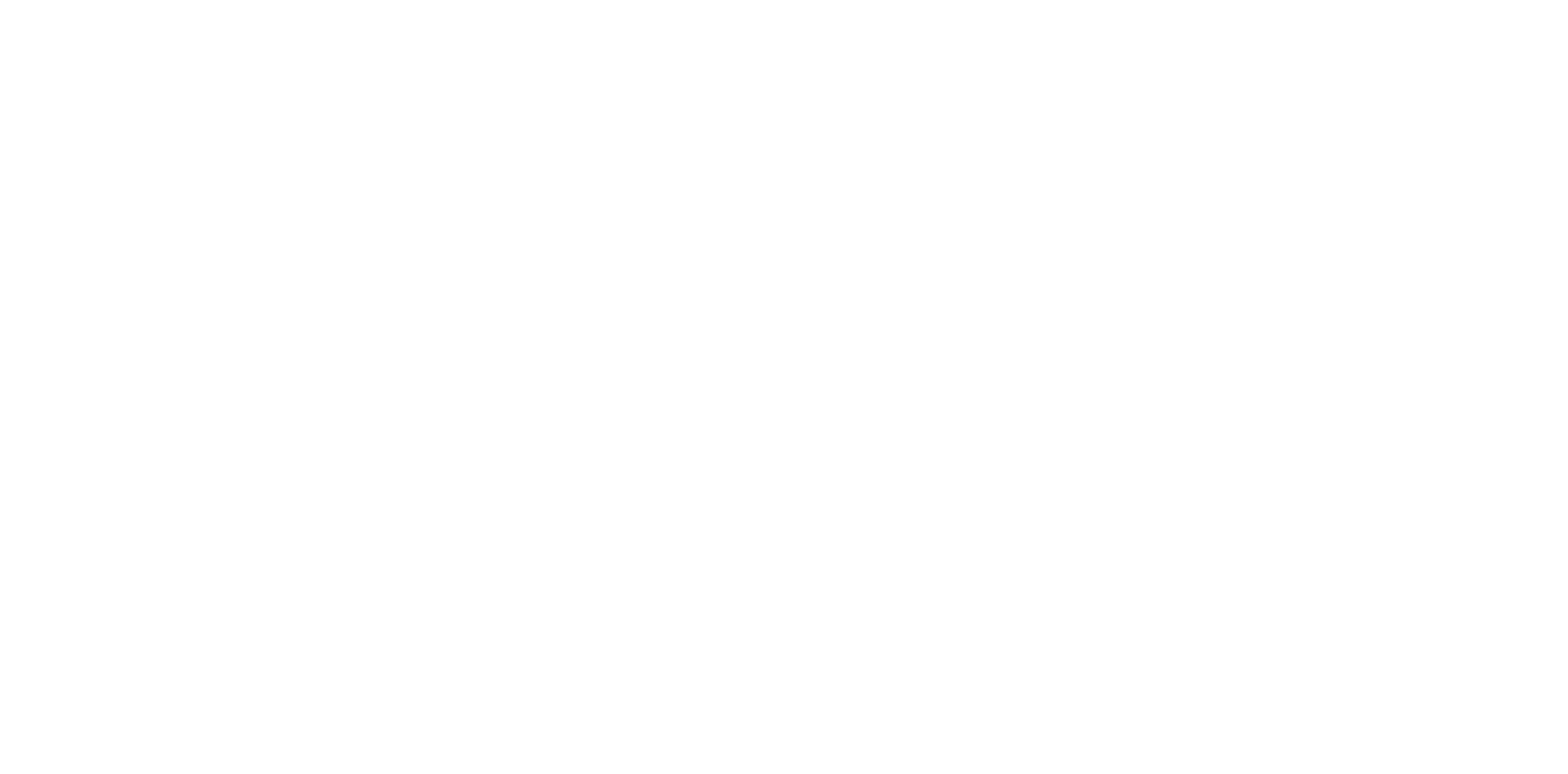 logo DBN REV